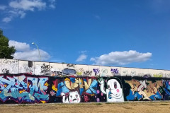 Back008