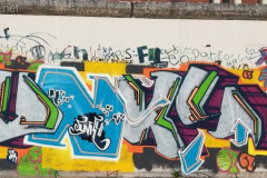 Back015