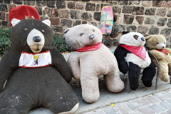 baer14