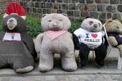baer24