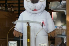 baer40