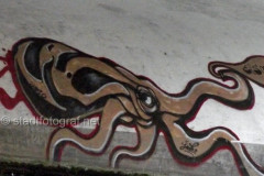 wand0228