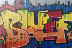 wand0981
