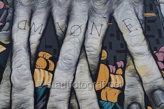 wand1194