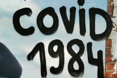 wand1284