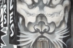 wand1362