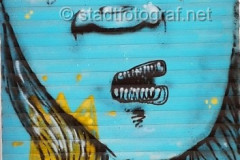 wand1563