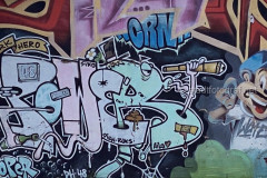 wand1565