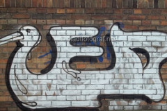wand1607