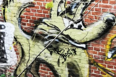 wand1729