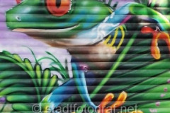 wand2011