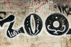 wand2344