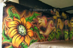 wand2529