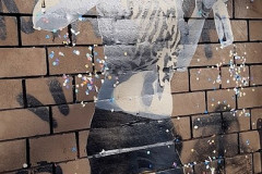 wand2657