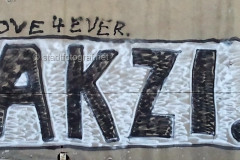 wand2796