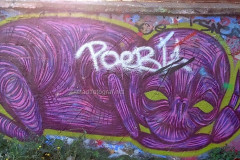 wand2798