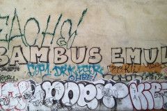 wand2806