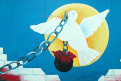 front0069
