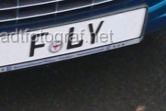 fly
