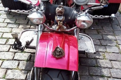 mot016