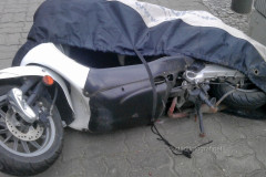 mot028