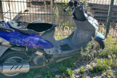 mot037